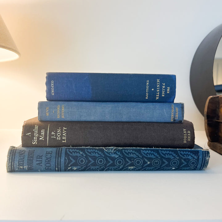 Shelf Styling - Vintage Book Bundle
