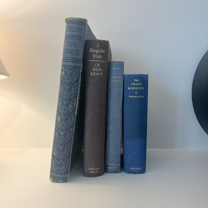 Shelf Styling - Vintage Book Bundle