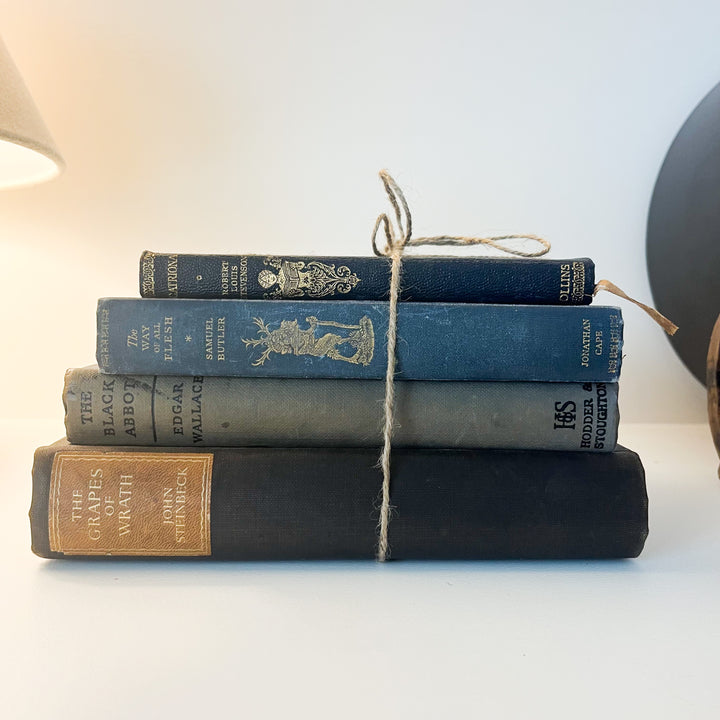 Shelf Styling - Vintage 4 Book Bundle