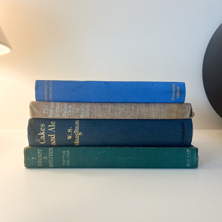 Shelf Styling - Vintage Book Bundle