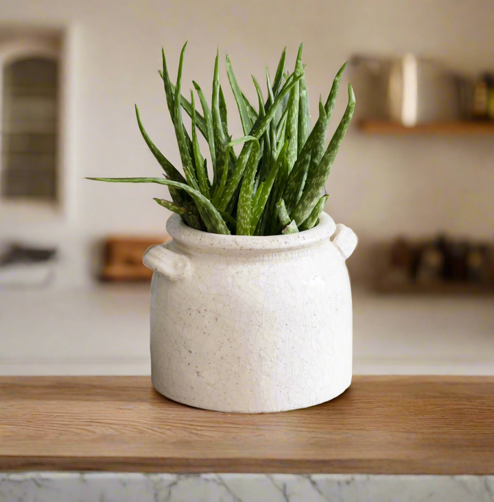 Ravello Crackle Glaze Pot With Handles - White