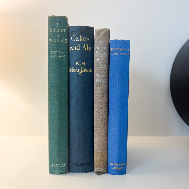 Shelf Styling - Vintage Book Bundle