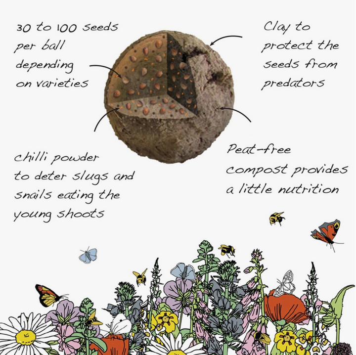 Wildflower Seedball Tube - Poppy Seeds