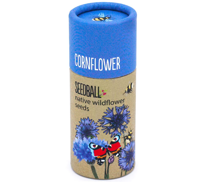 Wildflower Seedball Tube - Cornflower Seeds