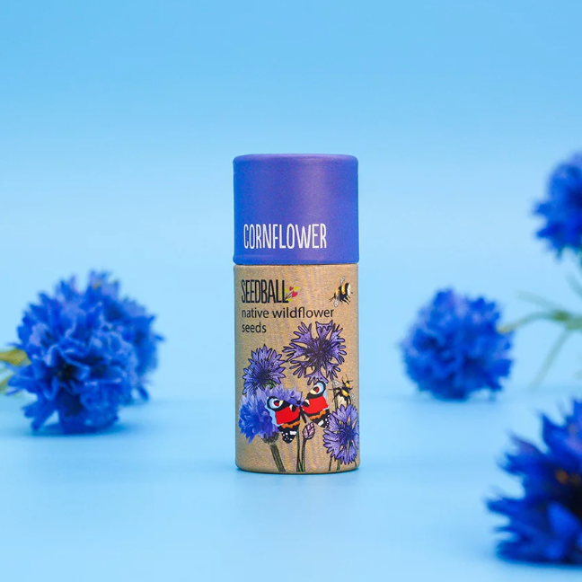 Wildflower Seedball Tube - Cornflower Seeds
