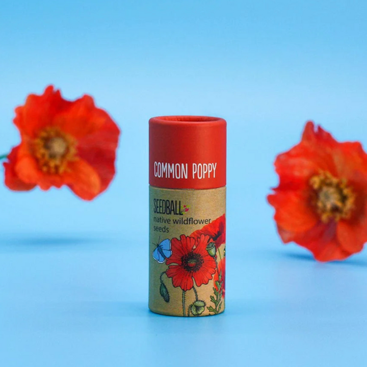 Wildflower Seedball Tube - Poppy Seeds