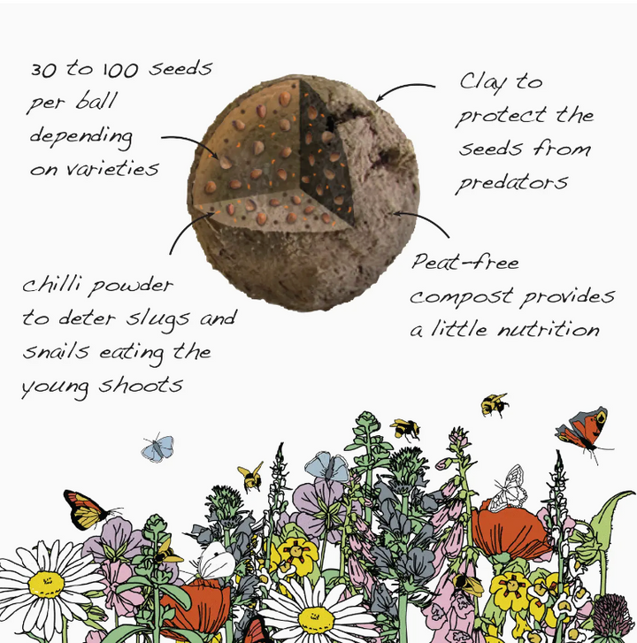 Seedball - Wildflower Grab Bags - Wildlife Seed Mix