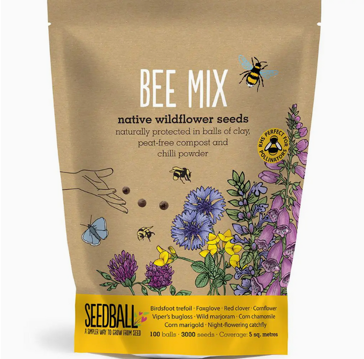 Seedball - Wildflower Grab Bags - Bee Seed Mix
