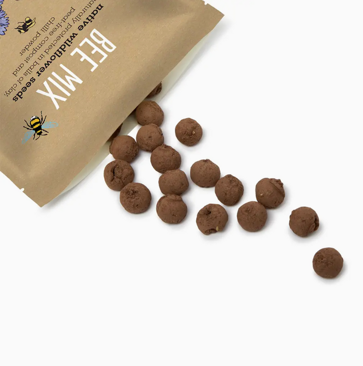 Seedball - Wildflower Grab Bags - Bee Seed Mix