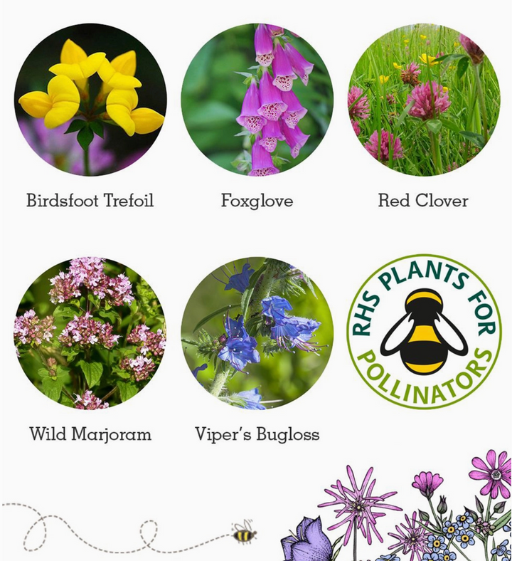 Seedball - Wildflower Grab Bags - Bee Seed Mix