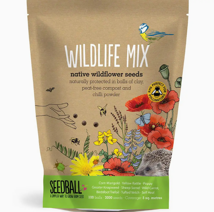 Seedball - Wildflower Grab Bags - Wildlife Seed Mix