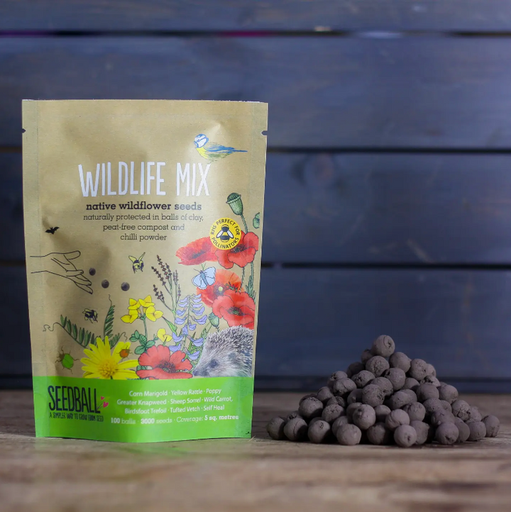 Seedball - Wildflower Grab Bags - Wildlife Seed Mix