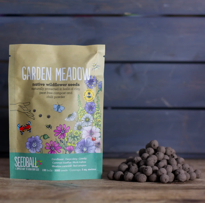 Seedball - Wildflower Grab Bags - Garden Meadow Seeds