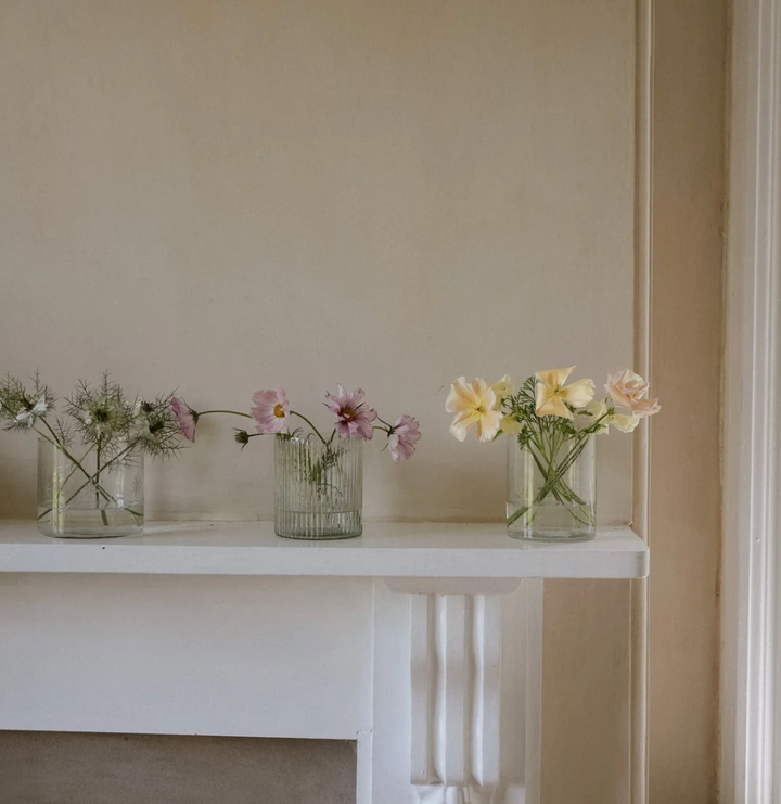 MeanWhile - Wide Ribbed Glass Vase