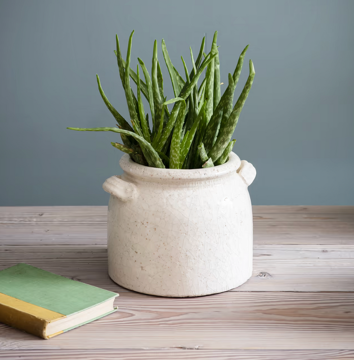 Ravello Crackle Glaze Pot With Handles - White