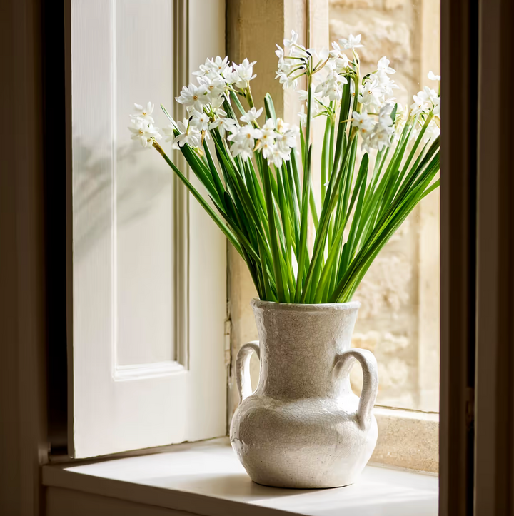 Ravello Crackle Glaze Vase With Large Handles - White