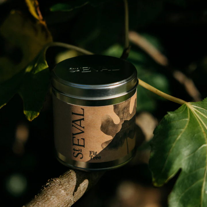 St. Eval Scented Tin Candle - Fig Tree