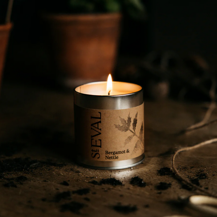 St. Eval Scented Tin Candle - Bergamot & Nettle