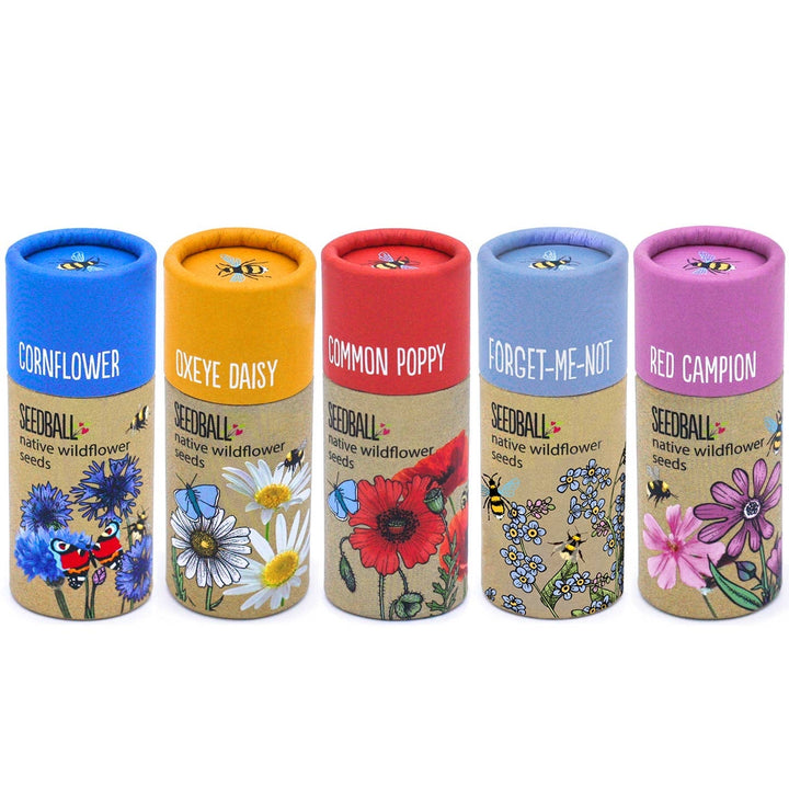 Wildflower Seedball Tube - Poppy Seeds