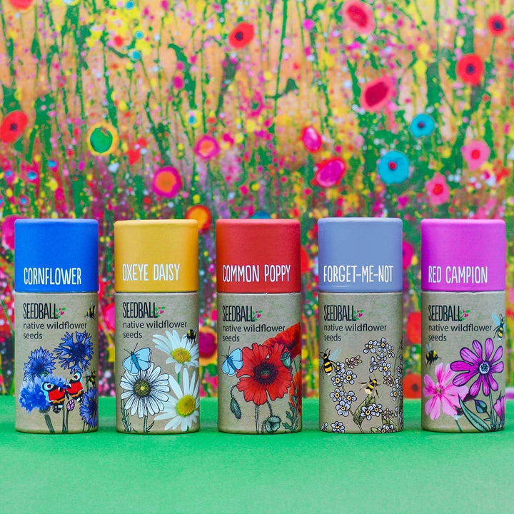 Wildflower Seedball Tube - Poppy Seeds