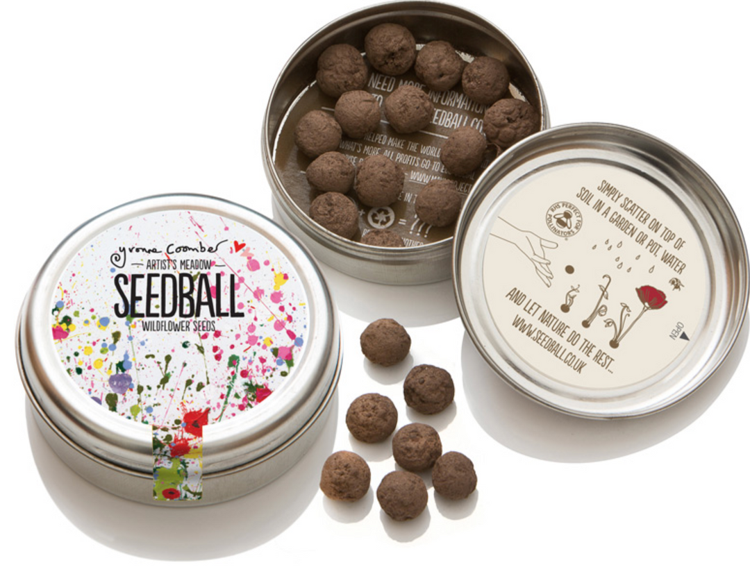 Seedball