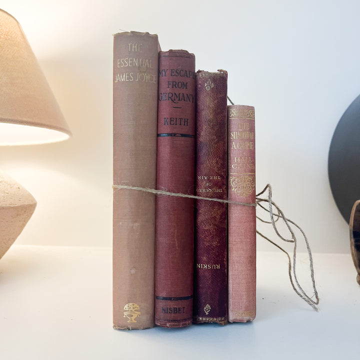 Shelf Styling - Vintage Book Bundle