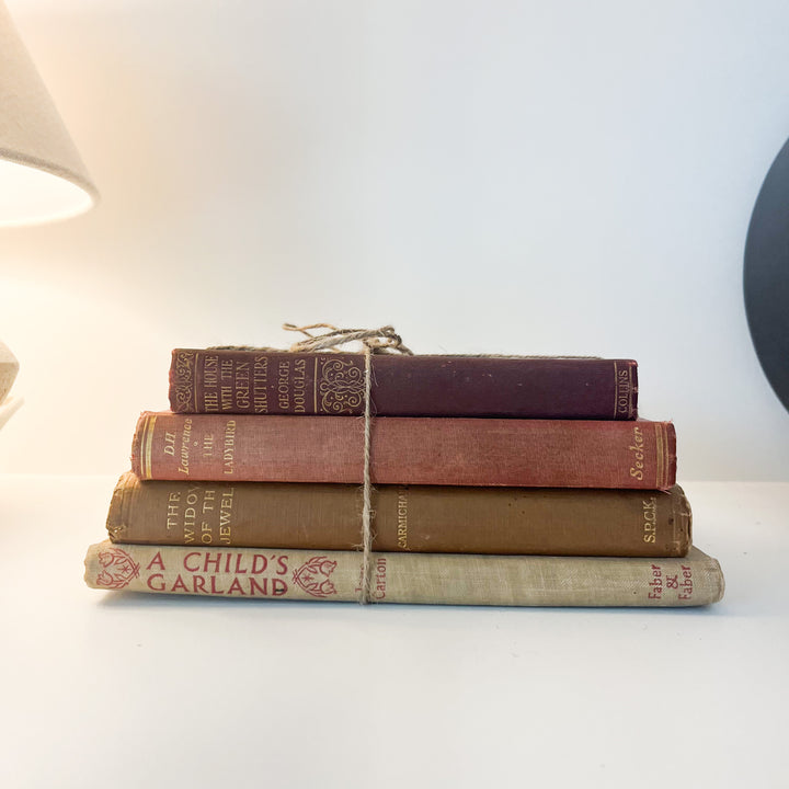 Shelf Styling - Vintage Book Bundle