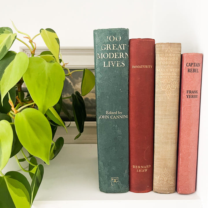 Shelf Styling - Vintage 4 Book Bundle