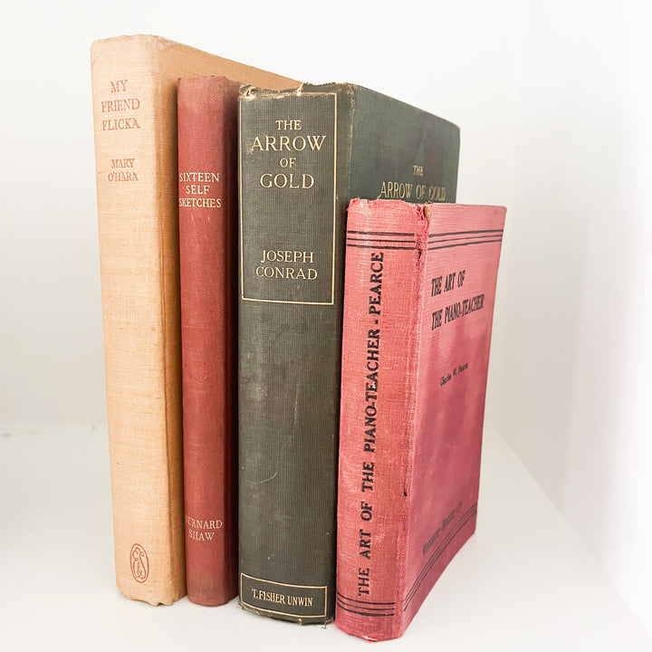 Shelf Styling - Vintage Book Bundle