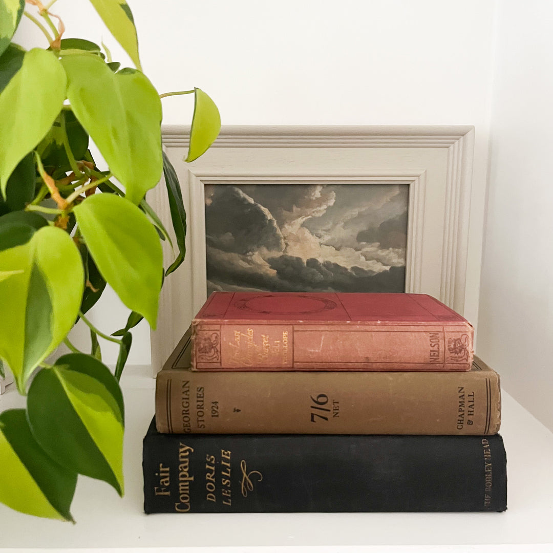 Shelf Styling - Vintage 3 Book Bundle