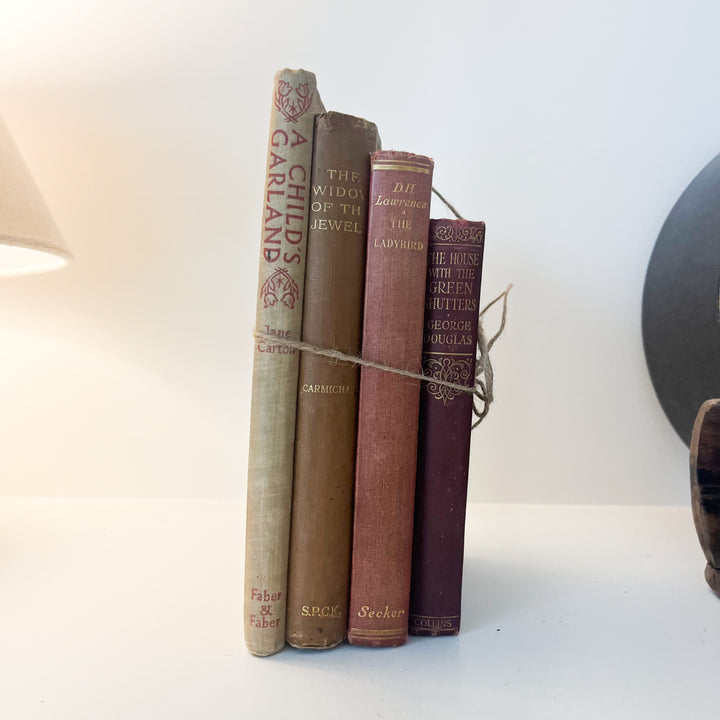 Shelf Styling - Vintage Book Bundle