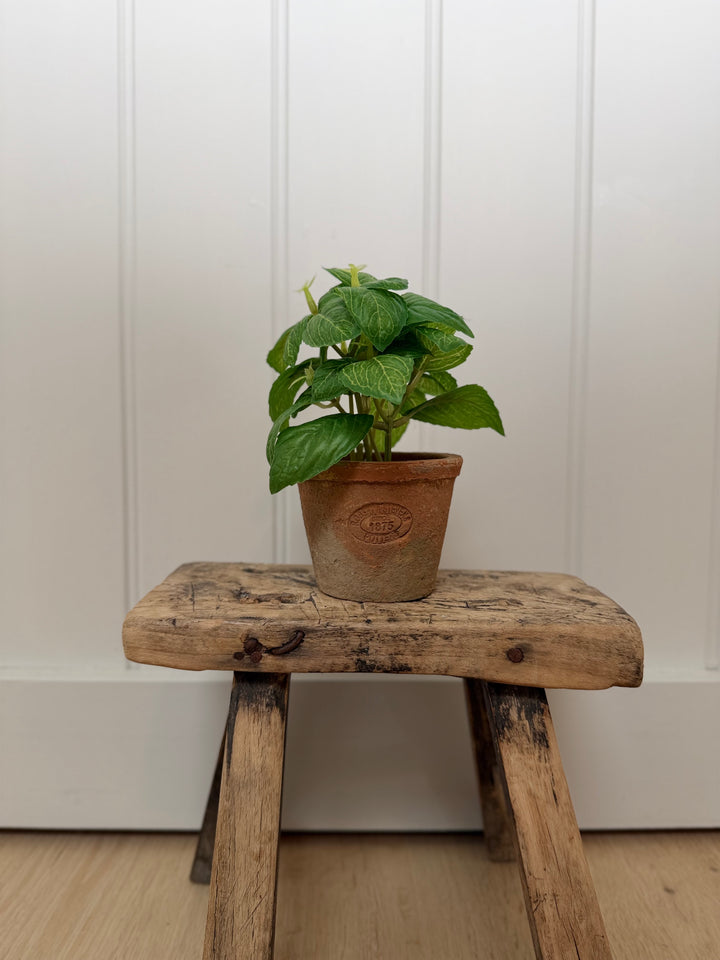 Artificial Basil Herb In Aged Terracotta Pot - Small