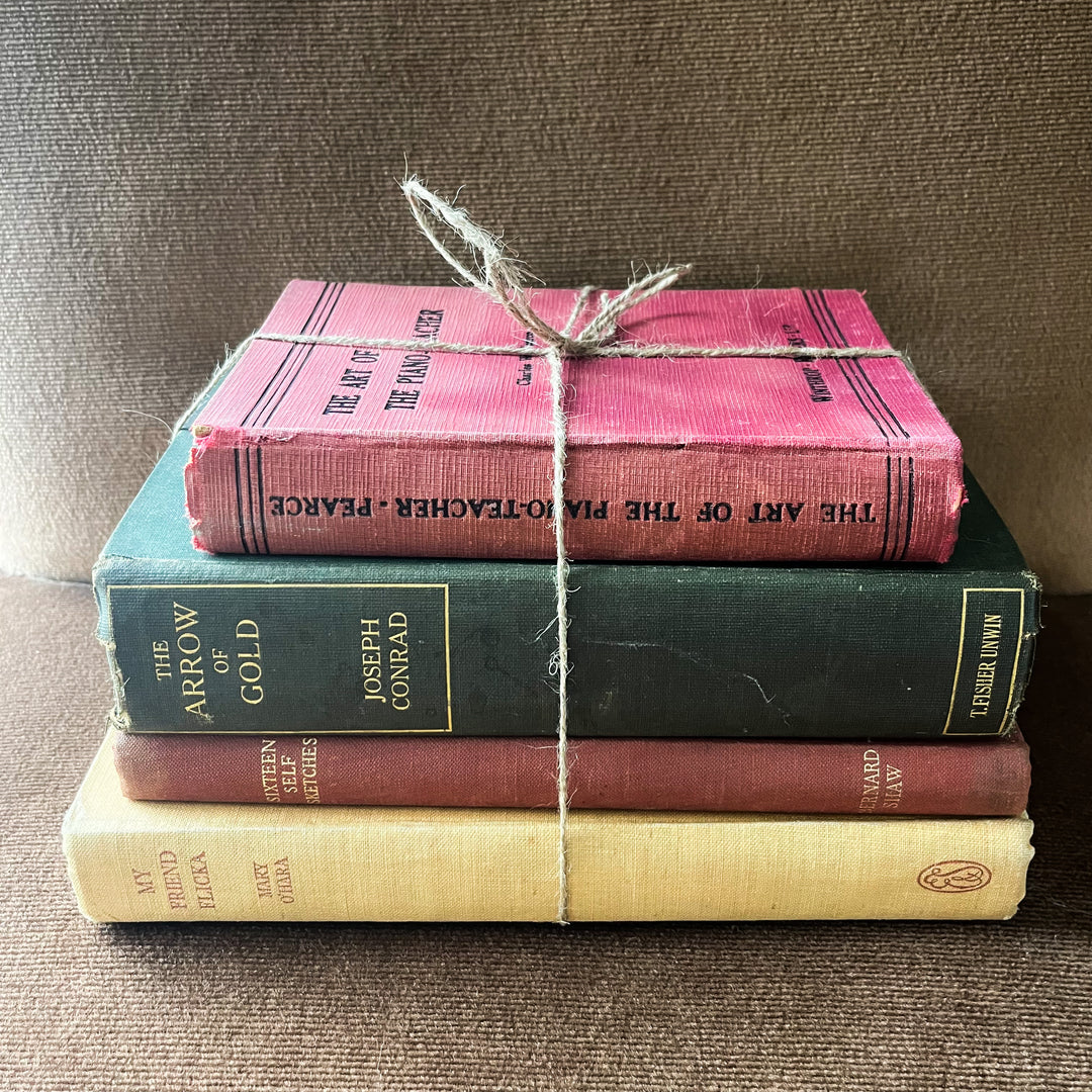 Shelf Styling - Vintage Book Bundle