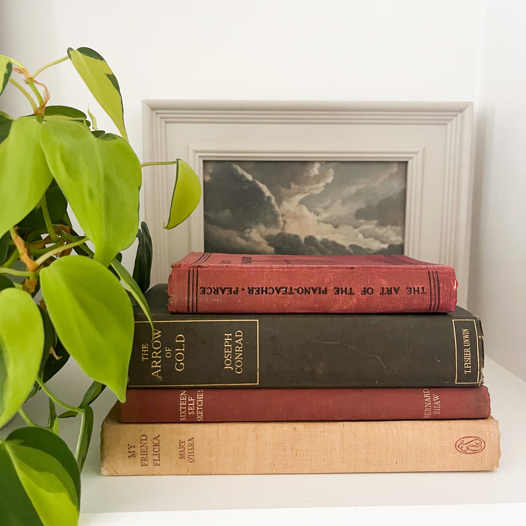 Shelf Styling - Vintage Book Bundle