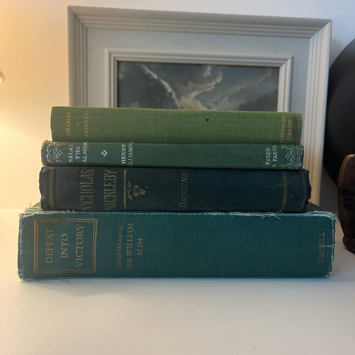 Shelf Styling - Vintage Book Bundle - Greens