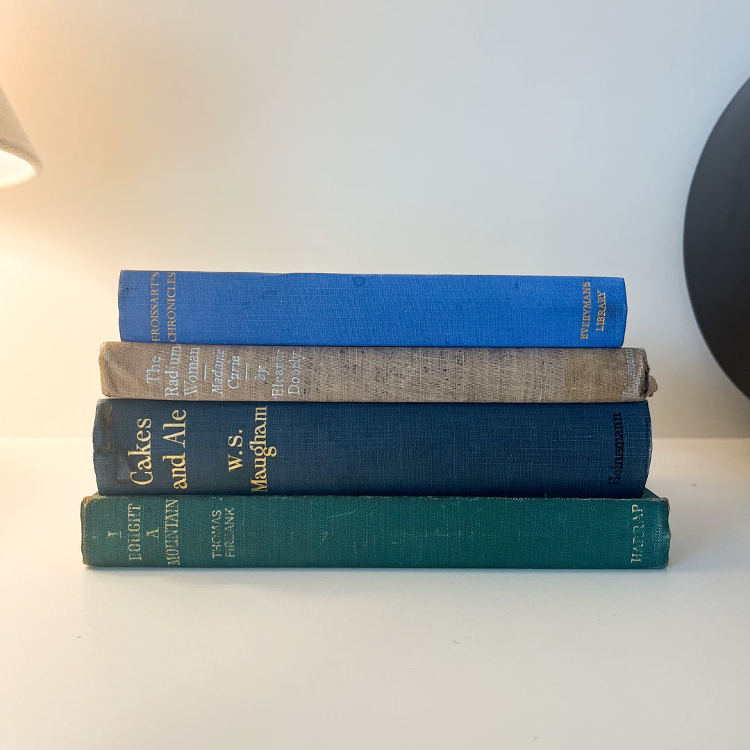 Shelf Styling - Vintage Book Bundle