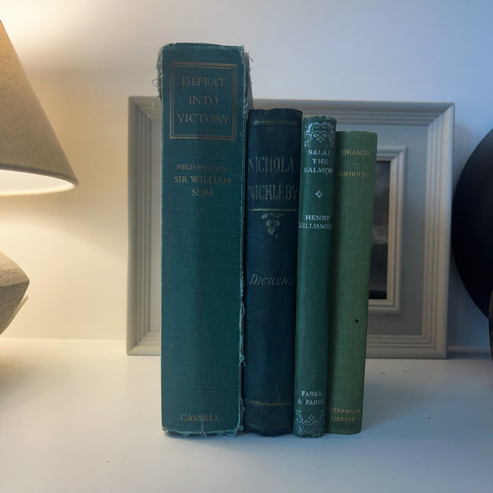 Shelf Styling - Vintage Book Bundle - Greens