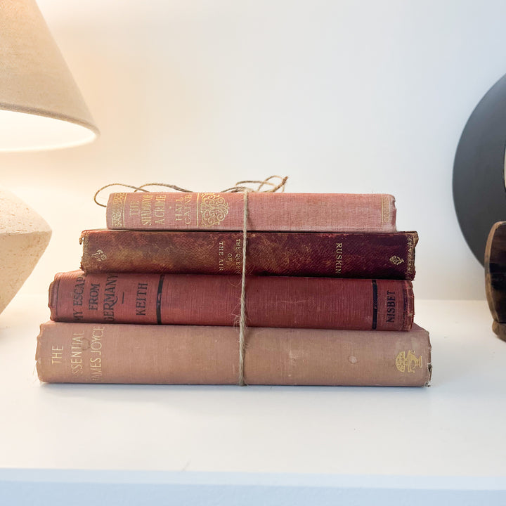 Shelf Styling - Vintage Book Bundle