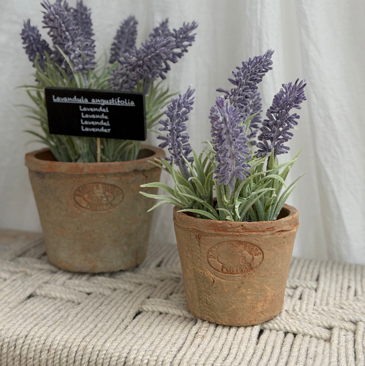 Artificial Lavender In Aged Terracotta Pot - Small