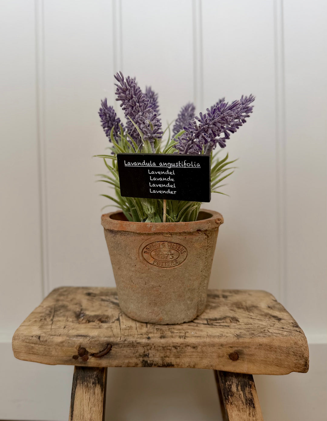 Artificial Lavender In Aged Terracotta Pot - Large