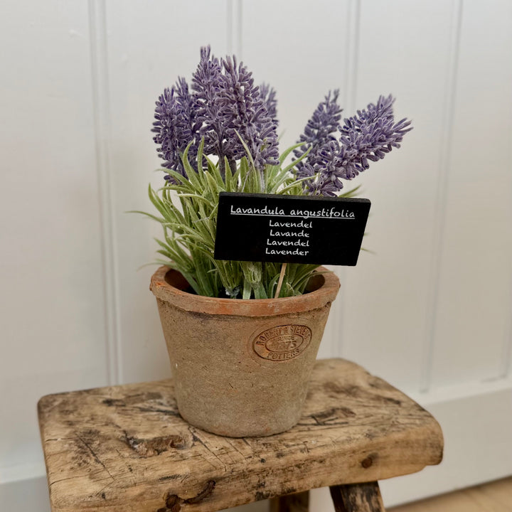 Artificial Lavender In Aged Terracotta Pot - Large
