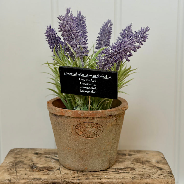 Artificial Lavender In Aged Terracotta Pot - Large