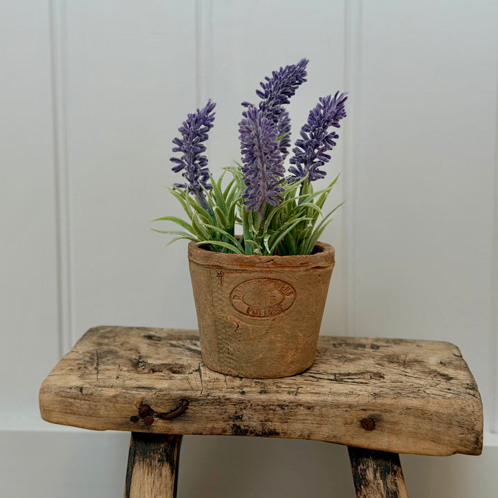 Artificial Lavender In Aged Terracotta Pot - Small