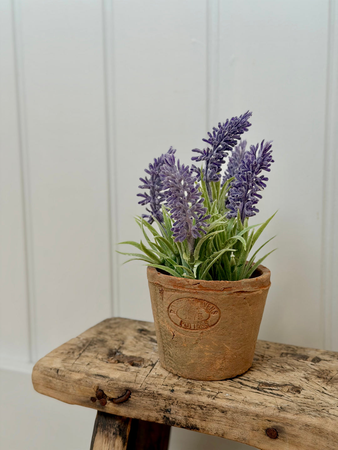 Artificial Lavender In Aged Terracotta Pot - Small