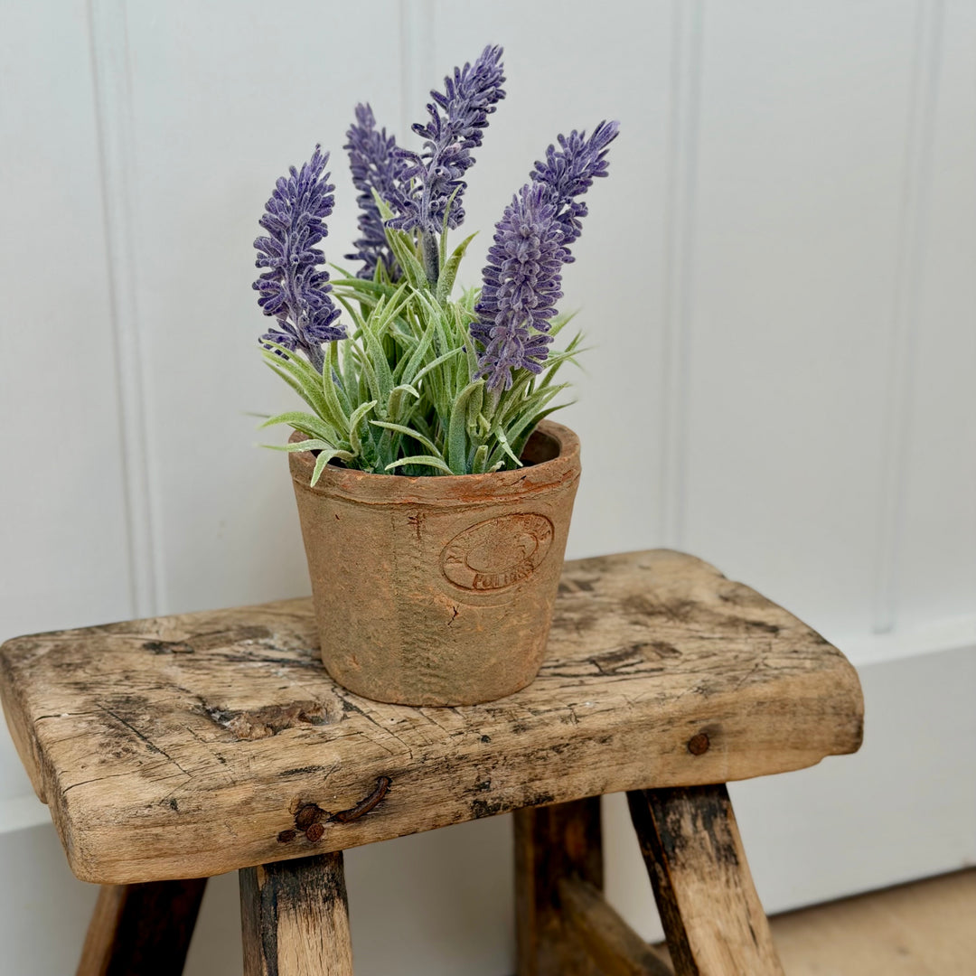Artificial Lavender In Aged Terracotta Pot - Small