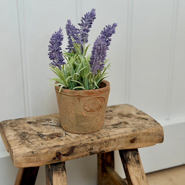 Artificial Lavender In Aged Terracotta Pot - Small