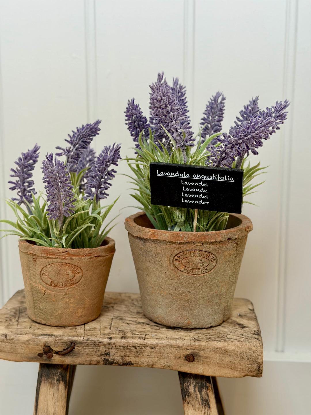 Artificial Lavender In Aged Terracotta Pot - Large
