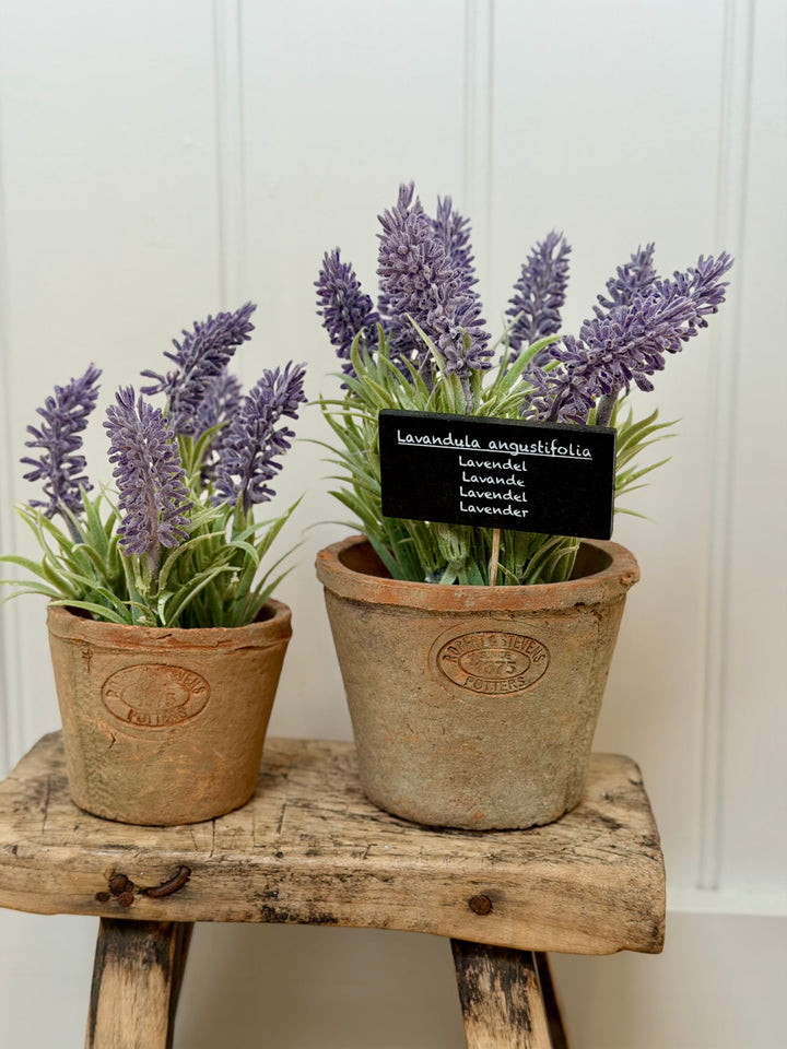 Artificial Lavender In Aged Terracotta Pot - Large