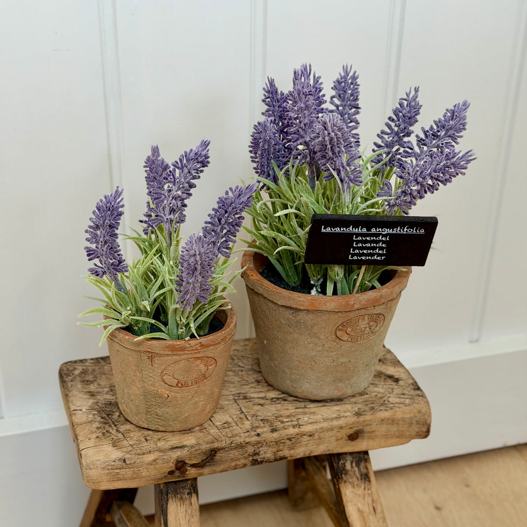Artificial Lavender In Aged Terracotta Pot - Small
