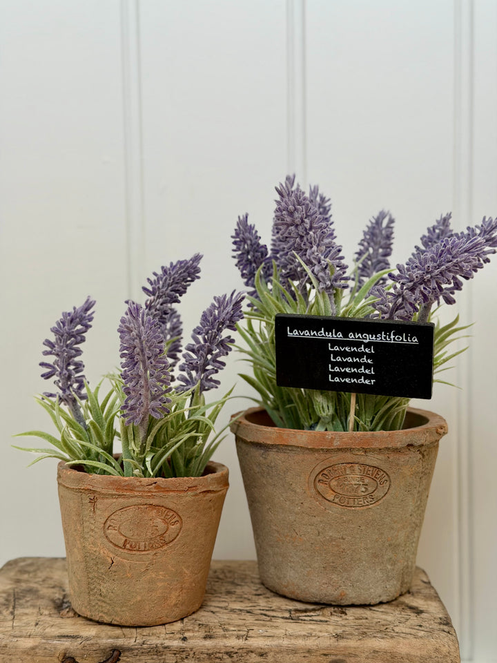 Artificial Lavender In Aged Terracotta Pot - Large